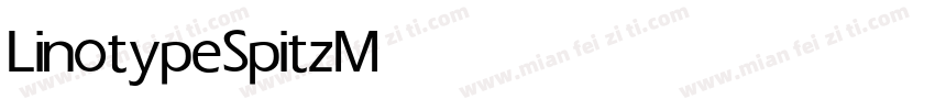 Linotype Spitz Medium字体转换